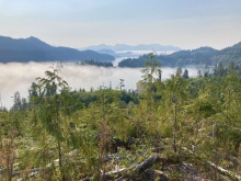 BCO -  Lot 1 Plumper Harbour Nootka Island 