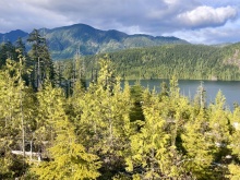 BCO -  Lot 1 Plumper Harbour Nootka Island 