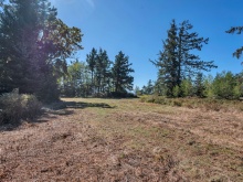 BCO - SL4 129 Joyce Rd
