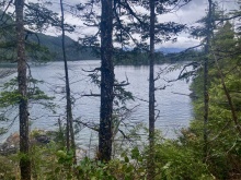 BCO -  Lot 1 Plumper Harbour Nootka Island 