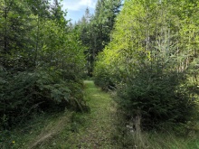 BCO-129JoyceRdSL7-QuadraIsland