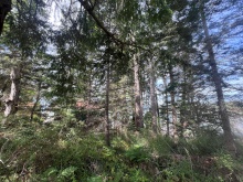 BCO - Lot 11 Gillies Bay Rd, Texada Island