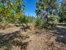 BCO - SL4 129 Joyce Rd