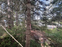 BCO - Lot 11 Gillies Bay Rd, Texada Island