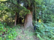 BCO-LotsA&BGraniteBay-QuadraIsland