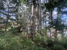 BCO - Lot 11 Gillies Bay Rd, Texada Island