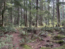 BCO-129JoyceRdSL7-QuadraIsland
