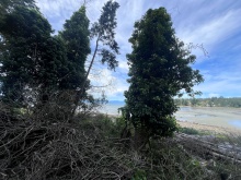 BCO - Lot 11 Gillies Bay Rd, Texada Island
