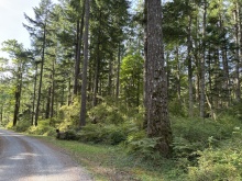BCO-129JoyceRdSL7-QuadraIsland