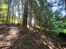 BCO-LotsA&BGraniteBay-QuadraIsland