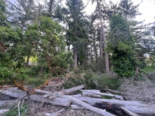 BCO - Lot 11 Gillies Bay Rd, Texada Island