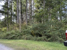 BCO-129JoyceRdSL7-QuadraIsland