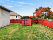 1064 Cordero Cres - backyard and shed