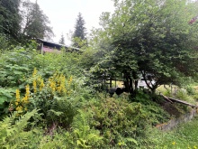 BCO - 202 & Lot 18 Pandora Cres