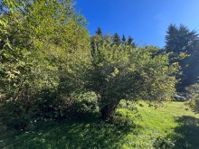 BCOceanfront-RupertInlet-RuralResidentialLicenceHomestead