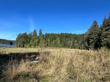 BCOceanfront-RupertInlet-RuralResidentialLicenceHomestead