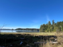 BCOceanfront-RupertInlet-RuralResidentialLicenceHomestead