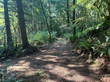 BCO - Lot A Owen Bay, Sonora Island