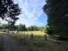 185 Kaleva Rd - pasture areas