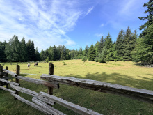 185 Kaleva Rd - horse paddocks