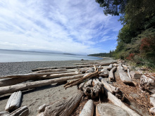 185 Kaleva Rd - view at the oceanfront