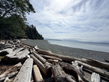 185 Kaleva Rd - view at the oceanfront