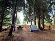 185 Kaleva Rd - campsite under the trees