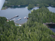 Lots 2&3 Walters Island