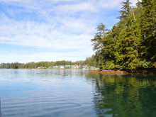 Lots 2&3 Walters Island