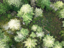 Lot 42 Sonora Island - aerial overview 