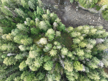 Lot 42 Sonora Island - aerial overview 