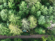 Lot 42 Sonora Island - aerial overview 