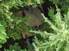 Lot 42 Sonora Island - aerial overview of tent platform