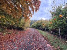 Lot 42 Sonora Island - Sonora road