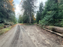 Lot 42 Sonora Island - Sonora road