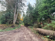 Lot 42 Sonora Island - Sonora road