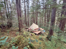 Lot 42 Sonora Island - tent platform from above