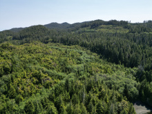 Cape Scott, Block C Shushartie