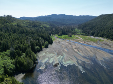 Cape Scott, Block C Shushartie