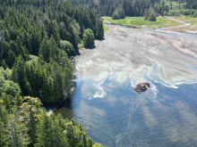 Cape Scott, Block C Shushartie