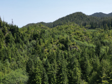 Cape Scott, Block C Shushartie