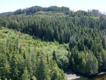 Cape Scott, Block C Shushartie
