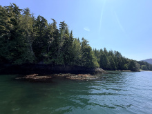 Cape Scott, Block C Shushartie
