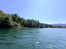 Cape Scott, Block C Shushartie