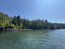 Cape Scott, Block C Shushartie