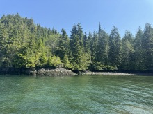 Cape Scott, Block C Shushartie