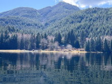 DL389 McBride Bay