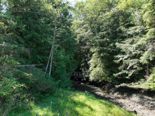 DL389 McBride Bay