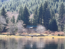 DL389 McBride Bay