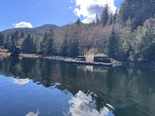 DL389 McBride Bay